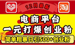 12月最新：电商平台1元打爆创业粉，简单粗暴日引500 精准创业粉，轻松月入5万