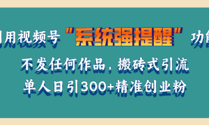 利用视频号“系统强提醒”功能，引流精准创业粉，无需发布任何作品，单人日引流300 精准创业粉