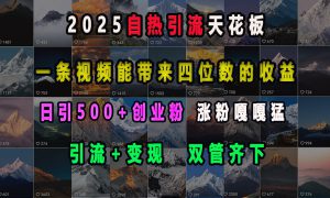 2025自热引流天花板，一条视频能带来四位数的收益，引流 变现双管齐下，日引500 创业粉，涨粉嘎嘎猛