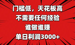 门槛低，收益高，不需要任何经验，谁做谁赚，单日利润3000