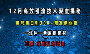 12月高效引流技术深度揭秘 ，单号单日引300 精准创业粉，一分钟一条原创素材，引爆你的私域流量