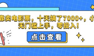 靠卖电影票，十天搞了7000 ，零投入，小白无门槛上手。