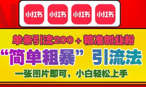 12底最新小红书单日引流200 创业粉，“简单粗暴”引流法，一张图片即可操作，小白轻松上手，私信根本回不完