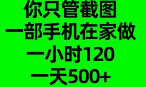 你只管截图，一部手机在家做，一小时120，一天500