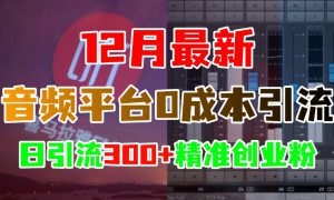 12月最新：音频平台0成本引流，日引300 精准创业粉