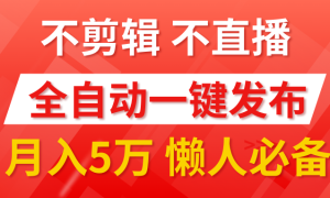 我出视频你来发，不剪辑，不直播。全自动一键代发，个位数播放都有收益！月入5万真轻松，懒人必备！