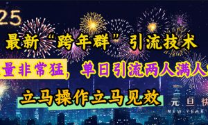 最新“跨年群”引流，流量非常猛，单日引流两人满人群，立马操作立马见效