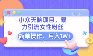 小众无脑项目，暴力引流女性粉丝，简单操作，月入10000 元