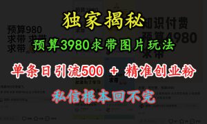 “小红书”预算3980求带 图片玩法，单条日引流500 精准创业粉，私信根本回不完