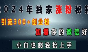 2024年独家涨粉秘籍，日引流300 创业粉，加爆你的微信好友，小白也能轻松上手