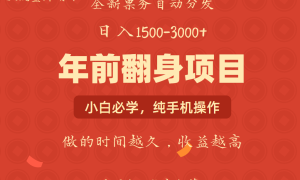 年前可以翻身的项目，日入2000  每单收益在300-3000之间，利润空间非常的大