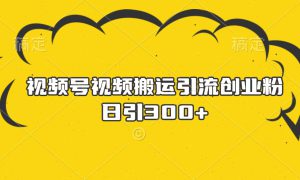 视频号视频搬运引流创业粉，日引300