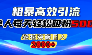 粗暴高效引流,单人每天轻松吸粉500 ,轻松突破日入2000