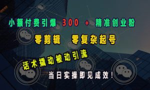 小额付费引爆 300   精准创业粉，零剪辑、零复杂起号，话术撬动被动引流，当日实操即见成效！