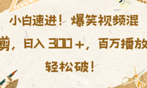 小白速进！爆笑视频混剪，日入 300  ，百万播放轻松破！