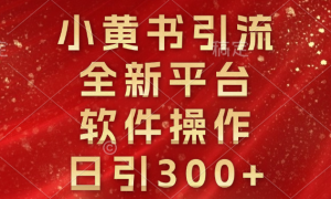 小黄书引流，全新平台，软件操作，日引300