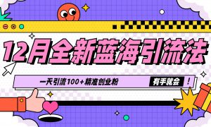 12月全新蓝海引流法，有手就会，一天引流100 精准创业粉