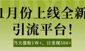 1月上线全新引流平台，当天涨粉1W ，日变现500 工具无脑涨粉，解放双手操作简单