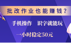 0门槛手机项目，改作业也能赚钱？识字就能玩！一小时稳定50元！