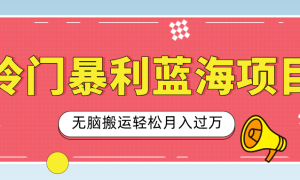 小众冷门虚拟暴利项目，小红书卖小吃配方，一部手机无脑搬运轻松月入过万