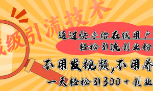 快手宝藏级引流技术，不用发视频，不用养号，纯纯搬砖操作，在线私信轻松引流创业粉，一天能引300   创业粉