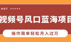 视频号风口蓝海项目，中老年人的流量密码，操作简单轻松月入过万