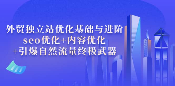 外贸独立站优化基础与进阶，seo优化 内容优化 引爆自然流量终极武器