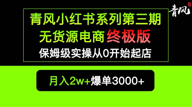 小红书无货源电商爆单终极版【视频教程 实战手册】保姆级实操从0起店爆单