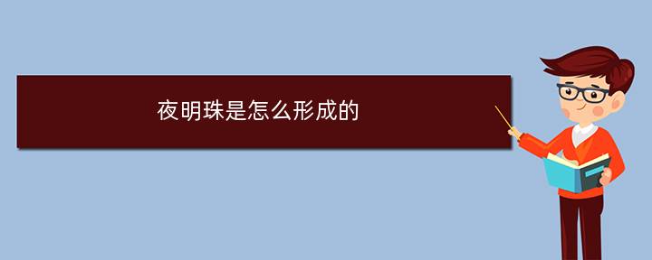 夜明珠是怎么形成的，夜明珠是光源吗为什么