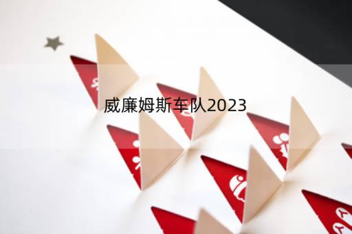 威廉姆斯车队2023(2023f1有哪些车队)